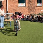 Bol Groeiend ontdekken