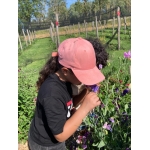 Schoolreis: Dag 1 (L1/L2)