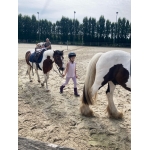 Schoolreis: Dag 1 (L1/L2)
