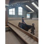 Schoolreis L1/L2: dag 2